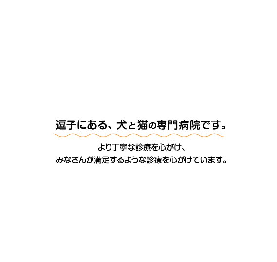 逗子にある、イヌとネコの専門病院です。